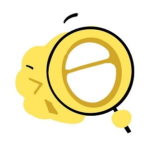 欧美一级视频下载官方版APP应用